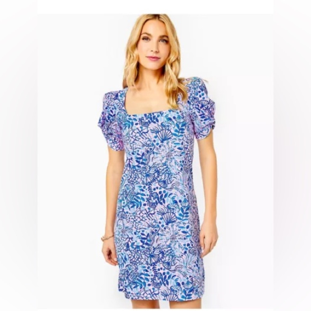 NWT Lilly Pulitzer Haydn Puff Sleeve Dress XL